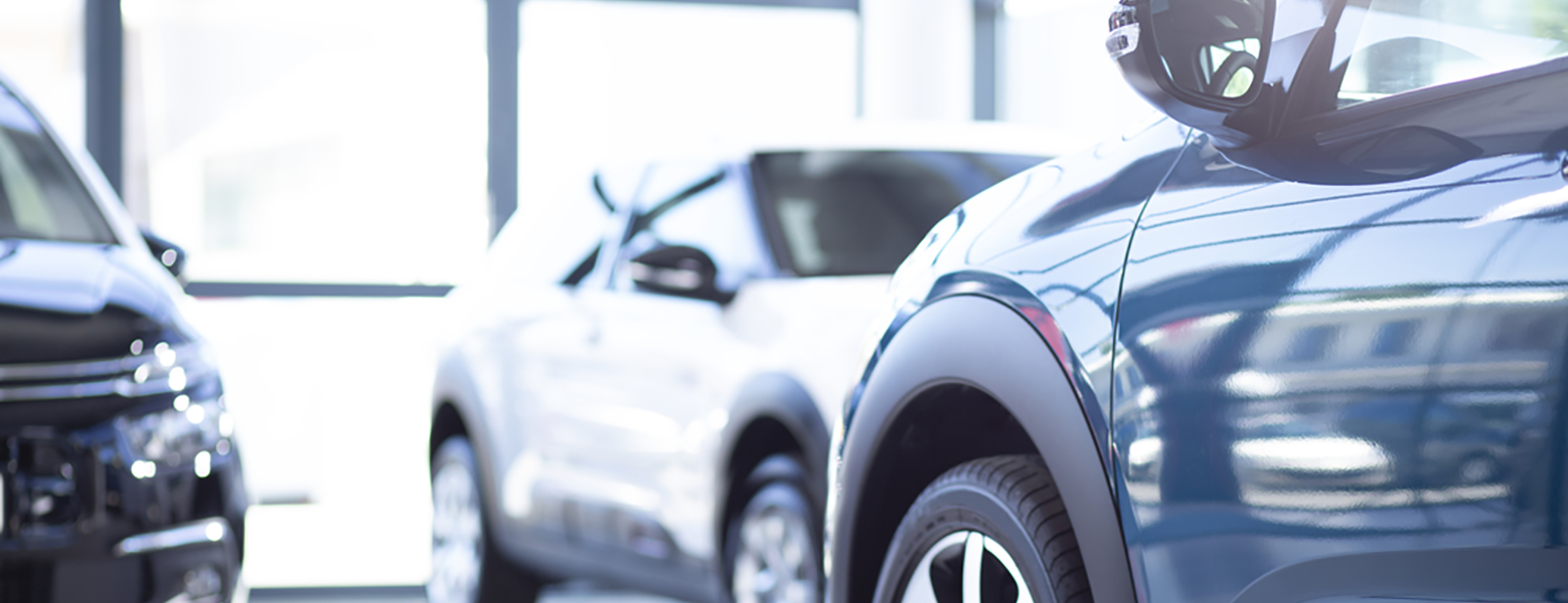 Rent a Car Business